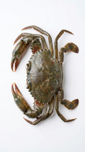Crabe