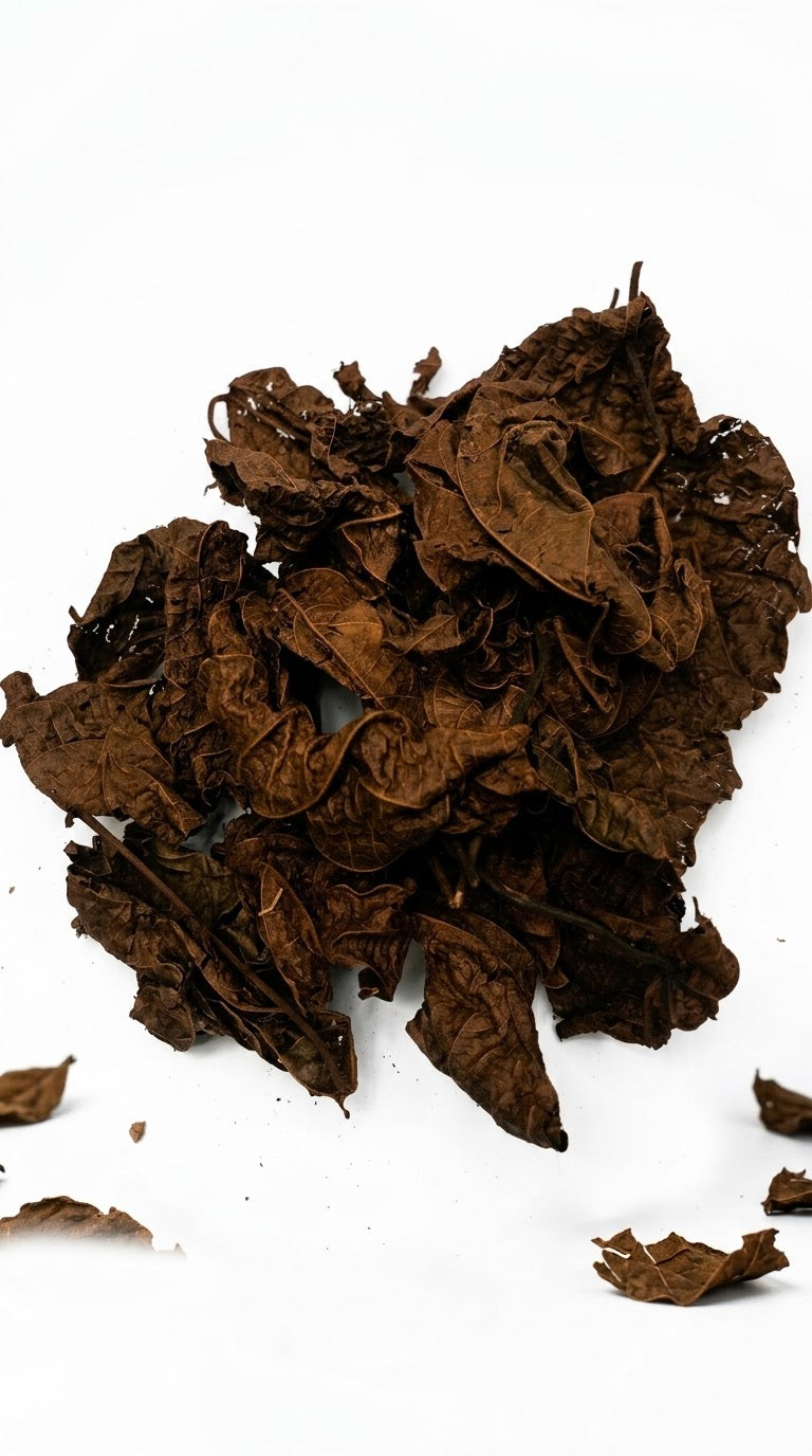 Djeka (Feuilles Séchées)